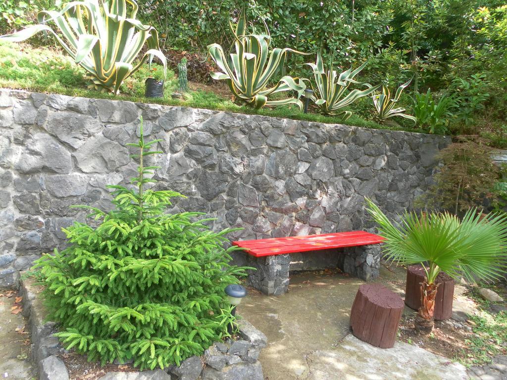 Holiday House Green Cape Batumi Hotel Мцване Концхи Екстериор снимка